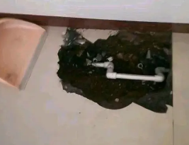城厢卫生间测漏水多少钱